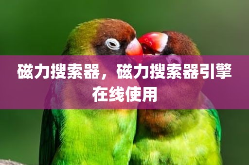 磁力搜索器，磁力搜索器引擎在线使用