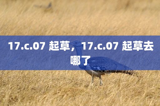 17.c.07 起草，17.c.07 起草去哪了