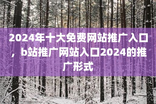 2024年十大免费网站推广入口，b站推广网站入口2024的推广形式