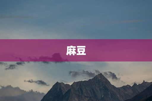 麻豆