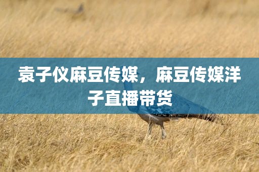 袁子仪麻豆传媒，麻豆传媒洋子直播带货
