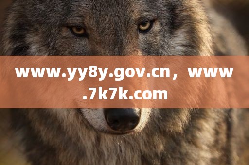 www.yy8y.gov.cn，www.7k7k.com