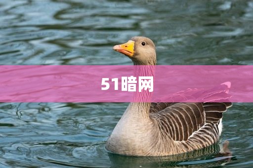 51暗网