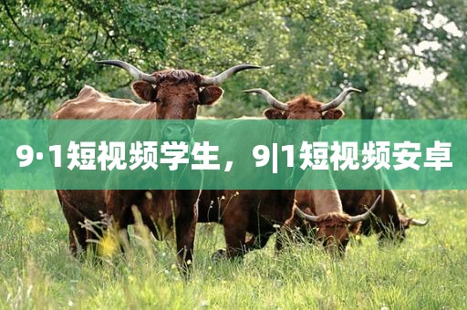 9·1短视频学生，9|1短视频安卓