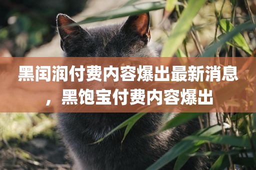 黑闰润付费内容爆出最新消息，黑饱宝付费内容爆出