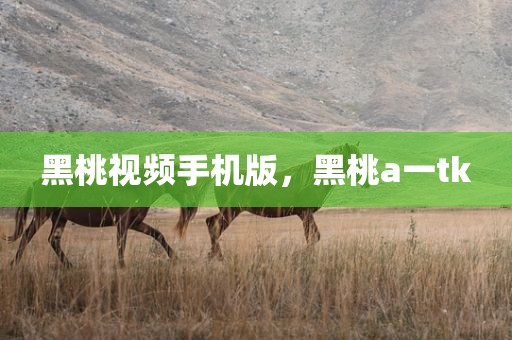 黑桃视频手机版，黑桃a一tk