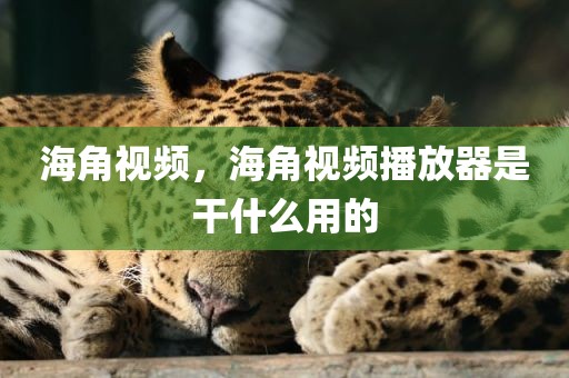 海角视频，海角视频播放器是干什么用的