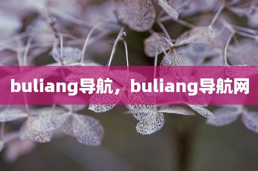 buliang导航，buliang导航网
