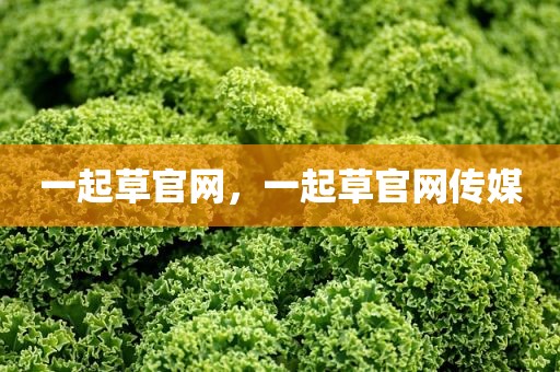 一起草官网，一起草官网传媒