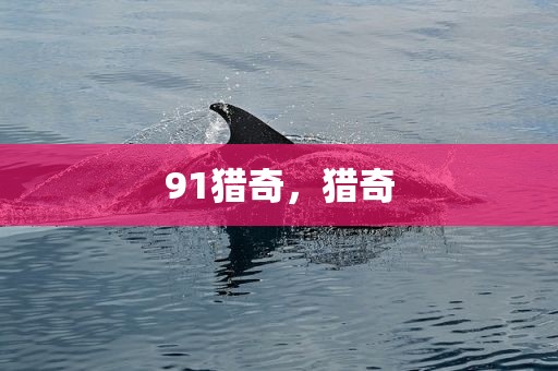 91猎奇，猎奇