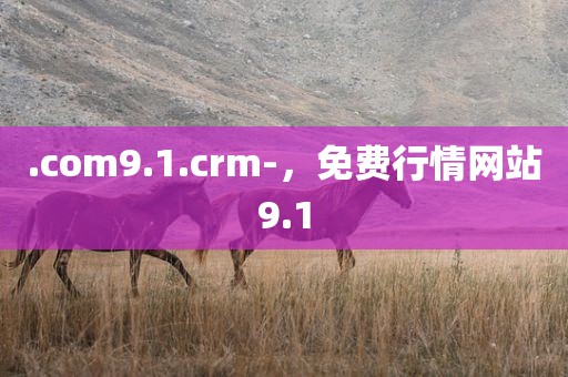 .com9.1.crm-，免费行情网站9.1