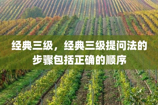 经典三级，经典三级提问法的步骤包括正确的顺序