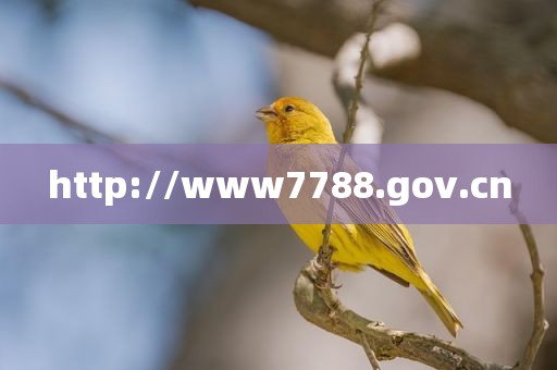 http://www7788.gov.cn