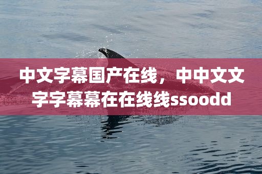 中文字幕国产在线，中中文文字字幕幕在在线线ssoodd