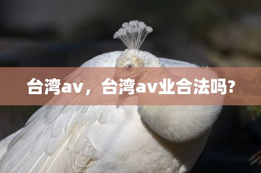 台湾av，台湾av业合法吗?