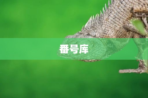 番号库