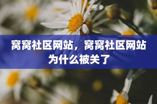 窝窝社区网站，窝窝社区网站为什么被关了