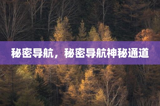 秘密导航，秘密导航神秘通道
