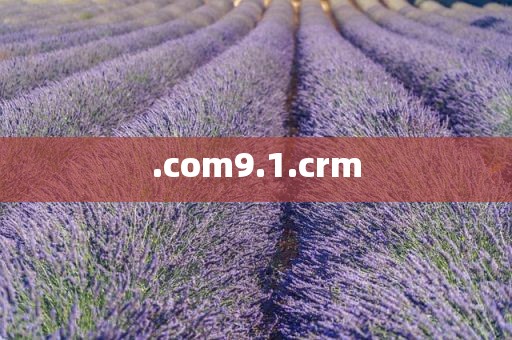 .com9.1.crm