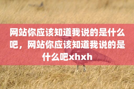网站你应该知道我说的是什么吧，网站你应该知道我说的是什么吧xhxh