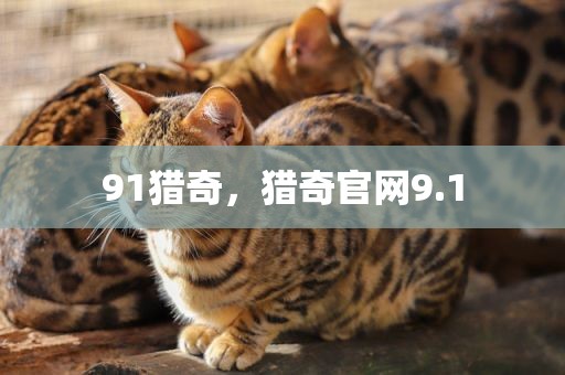 91猎奇，猎奇官网9.1