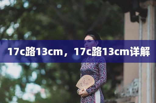 17c路13cm，17c路13cm详解