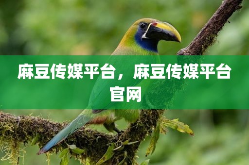麻豆传媒平台，麻豆传媒平台官网