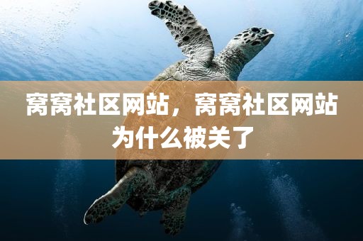 窝窝社区网站，窝窝社区网站为什么被关了