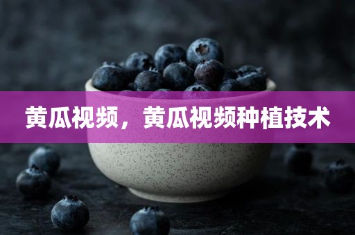 黄瓜视频，黄瓜视频种植技术