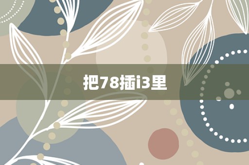 把78插i3里