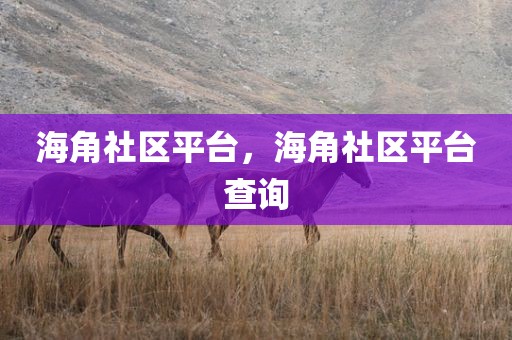 海角社区平台，海角社区平台查询