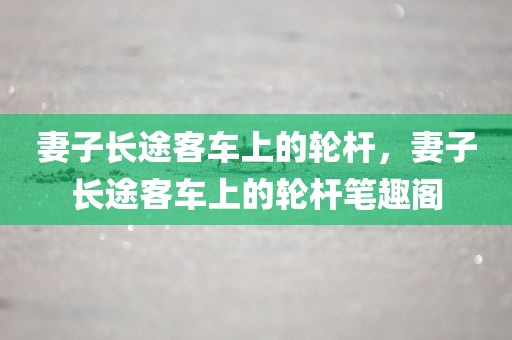 妻子长途客车上的轮杆，妻子长途客车上的轮杆笔趣阁