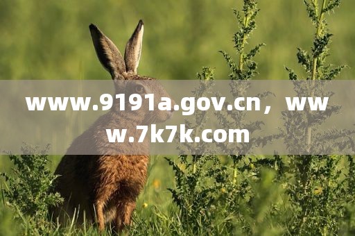www.9191a.gov.cn，www.7k7k.com