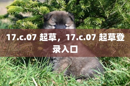 17.c.07 起草，17.c.07 起草登录入口