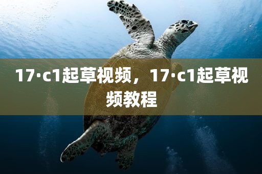 17·c1起草视频，17·c1起草视频教程