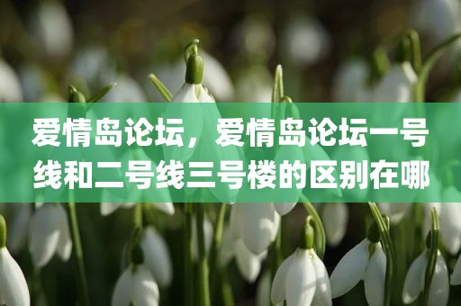 爱情岛论坛，爱情岛论坛一号线和二号线三号楼的区别在哪