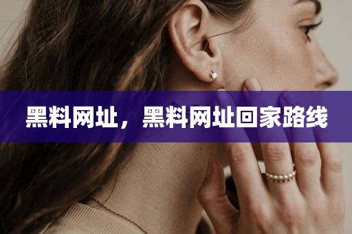 黑料网址，黑料网址回家路线