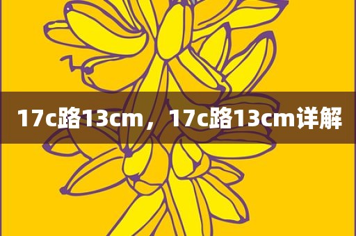 17c路13cm，17c路13cm详解