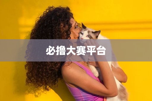 必撸大赛平台