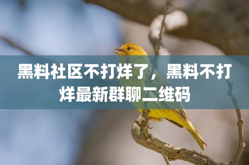 黑料社区不打烊了，黑料不打烊最新群聊二维码