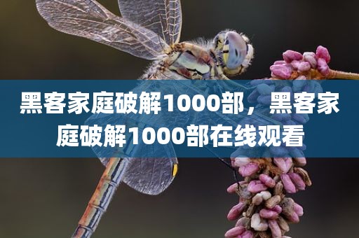 黑客家庭破解1000部，黑客家庭破解1000部在线观看
