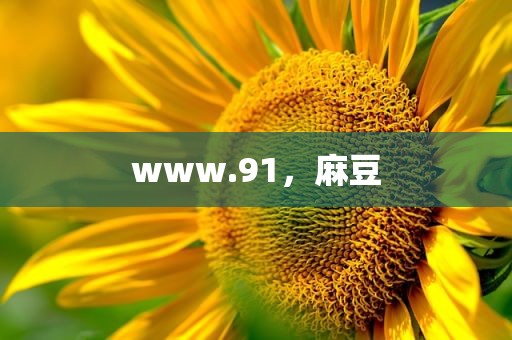 www.91，麻豆