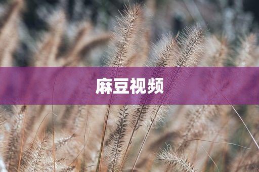 麻豆视频