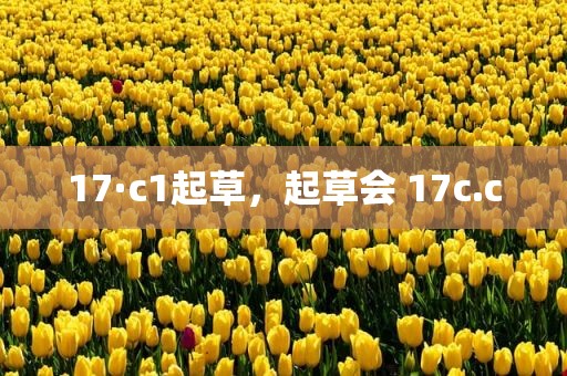 17·c1起草，起草会 17c.c