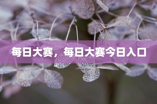 每日大赛，每日大赛今日入口