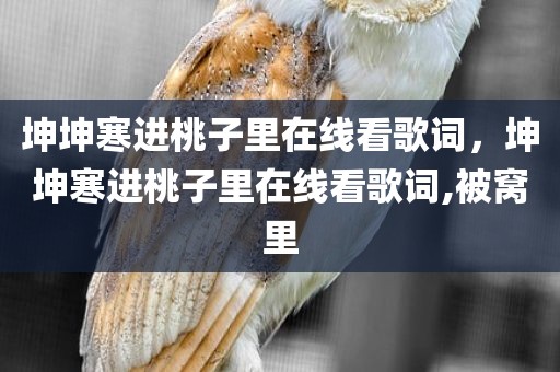 坤坤寒进桃子里在线看歌词，坤坤寒进桃子里在线看歌词,被窝里