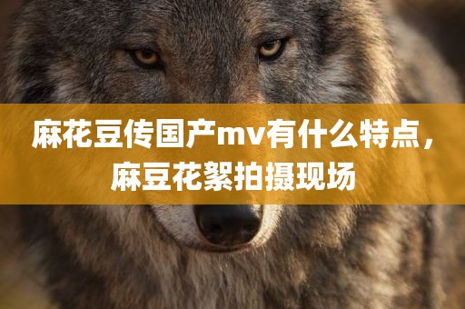 麻花豆传国产mv有什么特点，麻豆花絮拍摄现场
