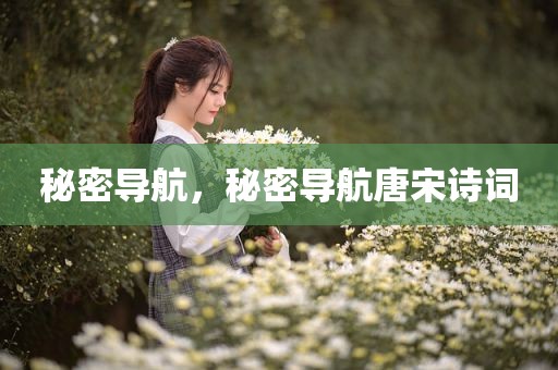 秘密导航，秘密导航唐宋诗词