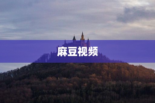 麻豆视频