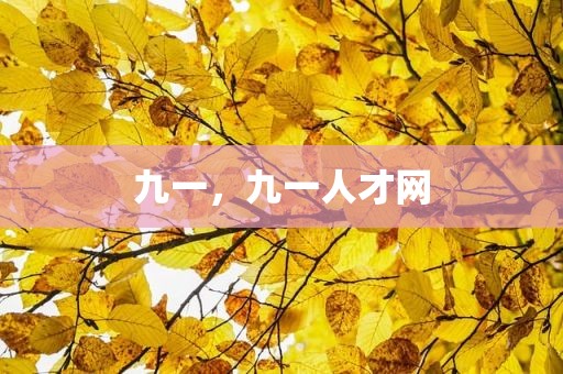 九一，九一人才网